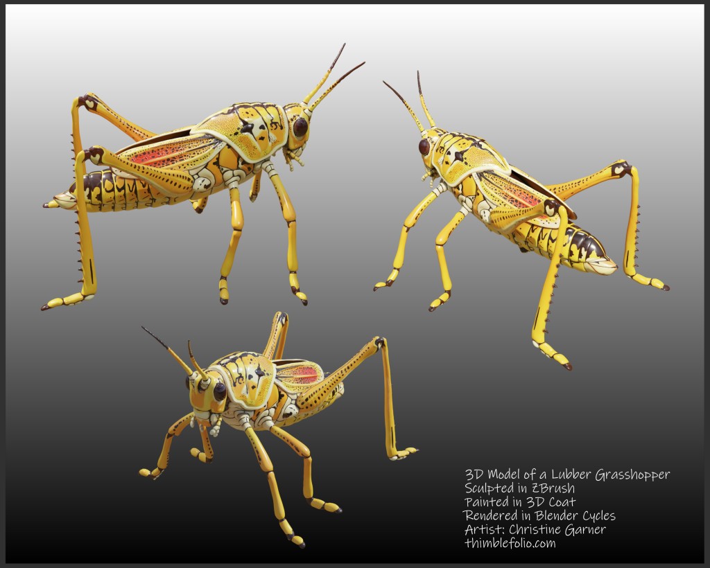 Grasshopper-Presentationweb