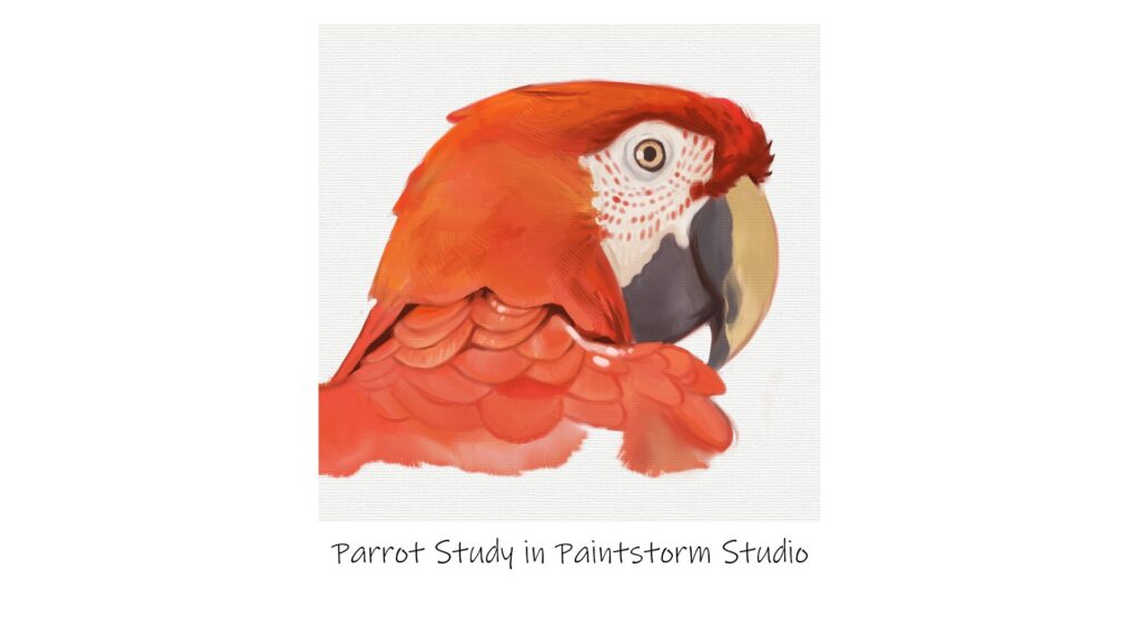 Parrot study in Paintstorm studio