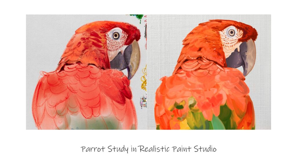 parrot studies in Realistic Paint Studio