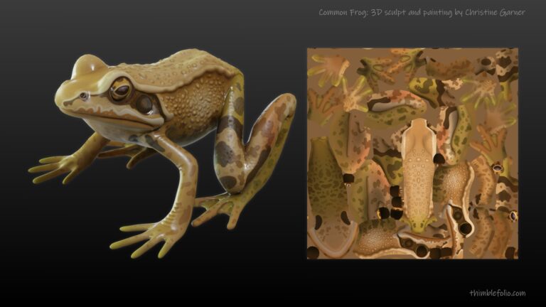 Making a 3D frog