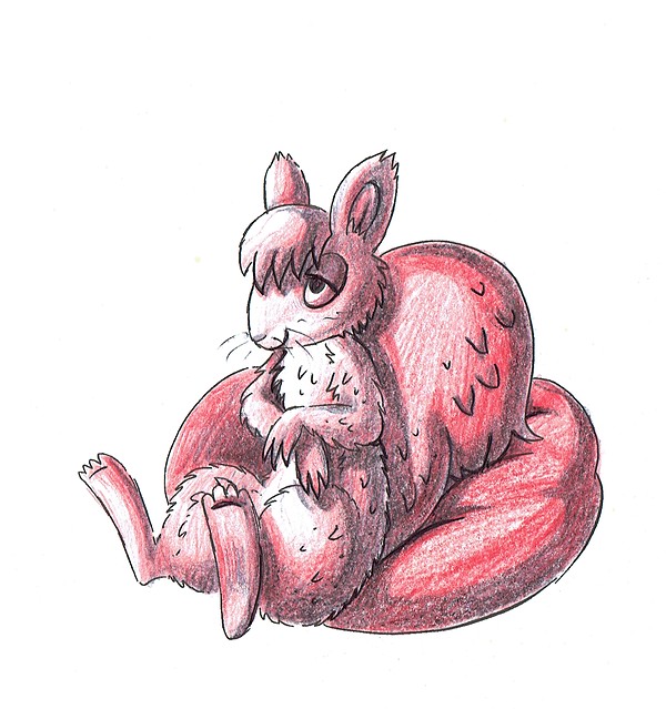squirrel sketch sitting on beanbag